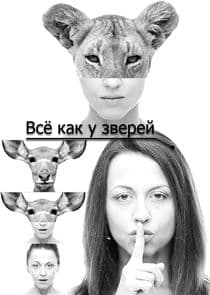 Всё как у зверей thumbnail