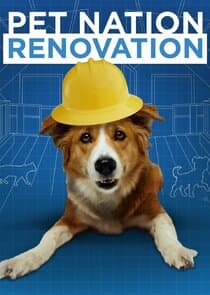 Pet Nation Renovation thumbnail