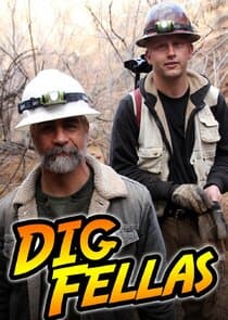Digfellas thumbnail