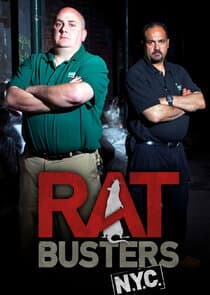 Rat Busters NYC thumbnail