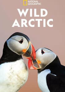 Wild Arctic thumbnail