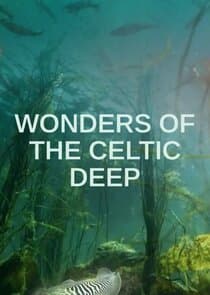 Wonders of the Celtic Deep thumbnail
