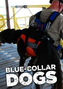 Blue-Collar Dogs thumbnail