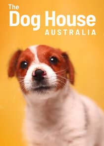 The Dog House Australia thumbnail