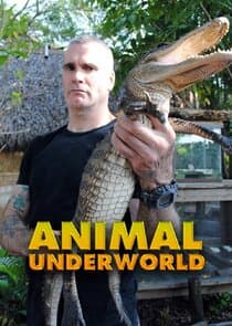 Animal Underworld thumbnail