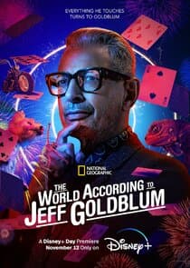 The World According to Jeff Goldblum thumbnail