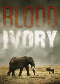 Blood Ivory thumbnail
