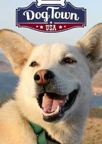 DogTown thumbnail