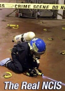 The Real NCIS thumbnail