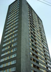 High Times thumbnail