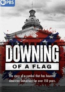 Downing of a Flag thumbnail