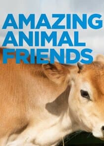 Amazing Animal Friends thumbnail