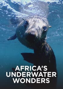 Africa's Underwater Wonders thumbnail
