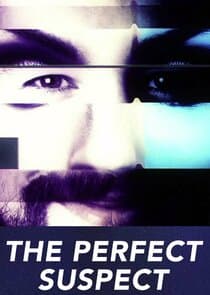 The Perfect Suspect thumbnail