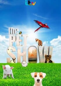 The Pet Show thumbnail