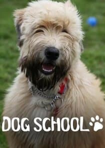 Dog School thumbnail