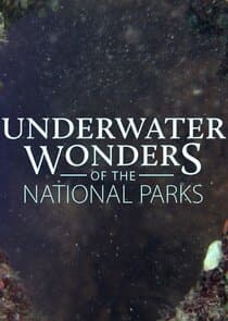 Underwater Wonders of the National Parks thumbnail