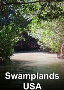 Swamplands USA thumbnail