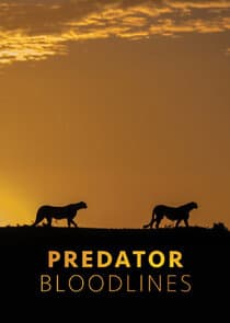 Predator Bloodlines thumbnail
