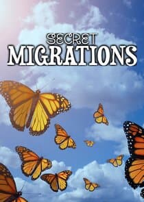 Secret Migrations thumbnail
