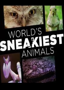 World's Sneakiest Animals thumbnail