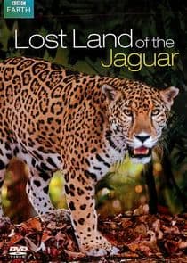 Lost Land of the Jaguar thumbnail