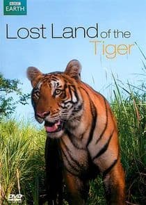 Lost Land of the Tiger thumbnail