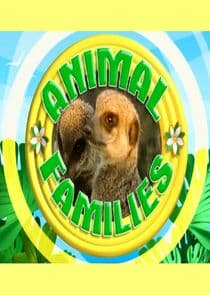 Animal Families thumbnail