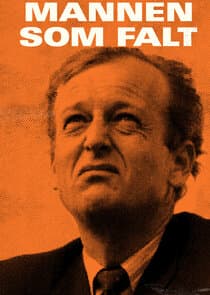 Mannen som falt thumbnail