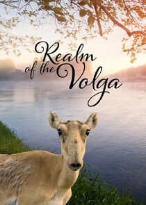 Realm of the Volga thumbnail