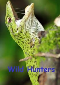 Wild Hunters thumbnail