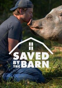 Saved by the Barn thumbnail