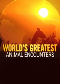 World's Greatest Animal Encounters thumbnail