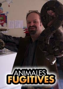 Animal Fugitives thumbnail