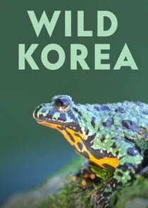 Wild Korea thumbnail