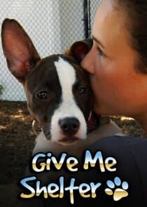 Give Me Shelter thumbnail