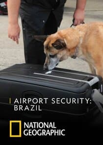 Airport Security: Brazil thumbnail