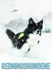 Redningshundene thumbnail