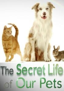 The Secret Life of Our Pets thumbnail
