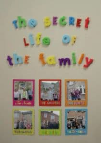 The Secret Life of the Family thumbnail