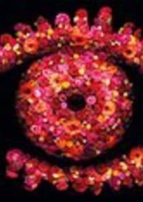 Ultimate Big Brother thumbnail