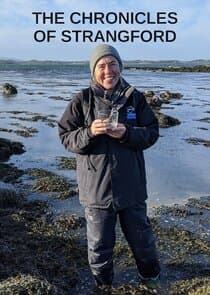 The Chronicles of Strangford thumbnail