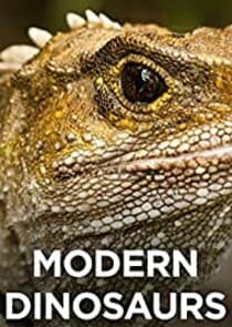 Modern Dinosaurs thumbnail
