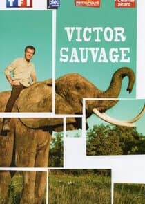 Victor Sauvage thumbnail