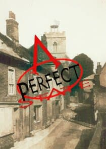 A Perfect State thumbnail
