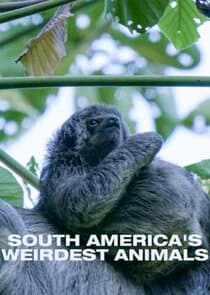South Americas Weirdest Animals thumbnail