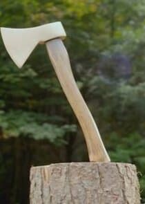 Loggerheads thumbnail