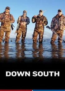 Down South thumbnail