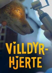 Villdyrhjerte thumbnail