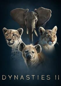 Dynasties thumbnail